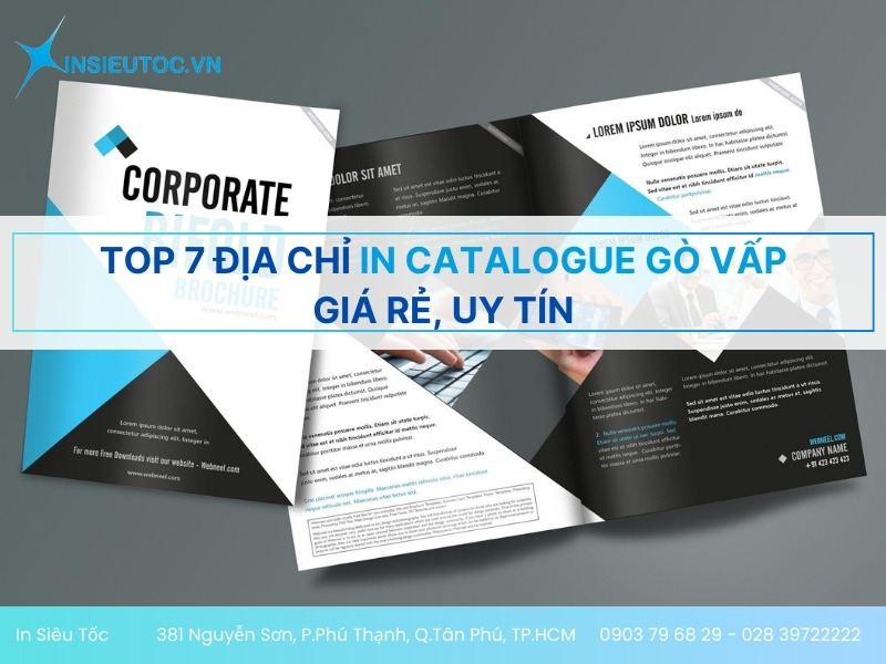 in catalogue gò vấp