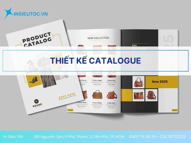 thiết kế catalogue