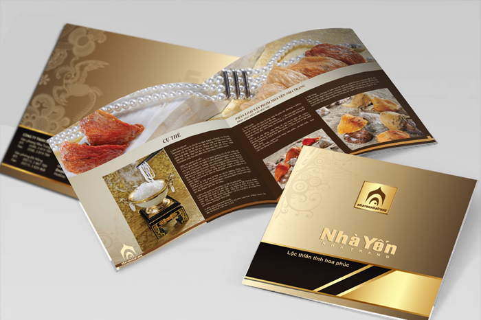 Catalog cần tạo điểm nhấn khi cần thiết