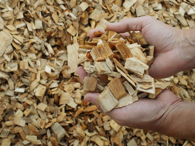 Có thể sử dụng phế phẩm ngành gỗ để tạo nên túi giấy