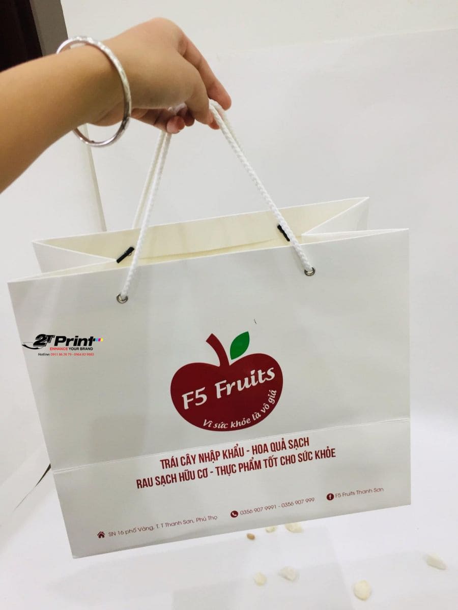 in ấn túi giấy môi trường