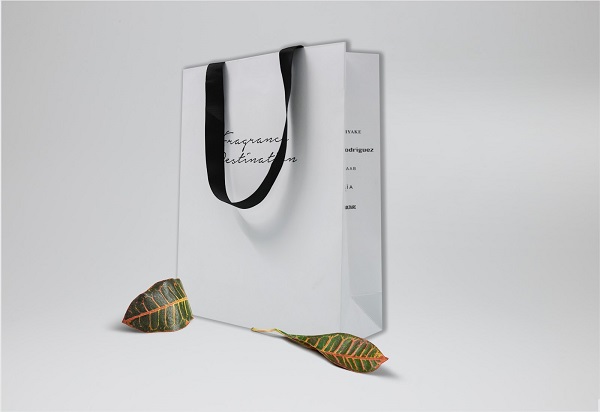 mẫu làm túi giấy đựng quà