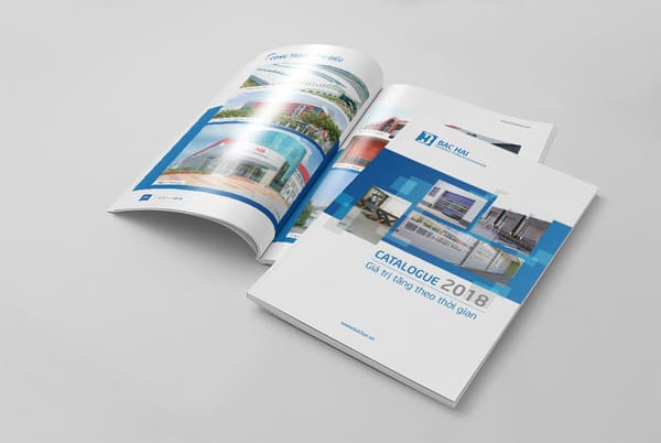 in catalogue lấy ngay