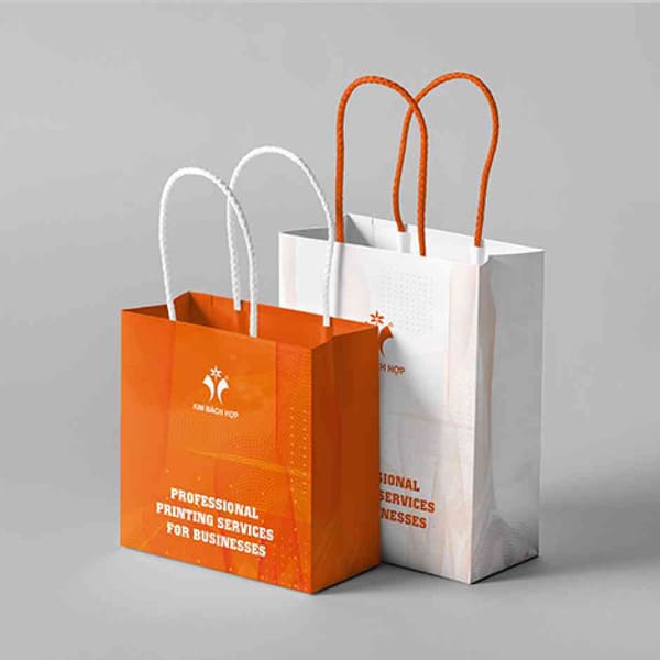 in túi giấy số lượng ít tphcm