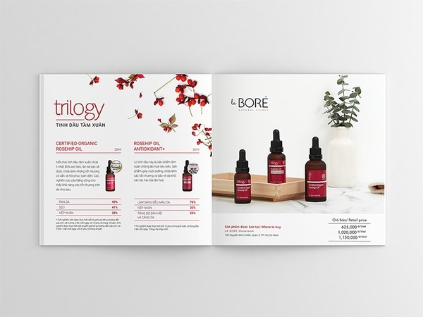 catalogue spa giới thiệu sản phẩm