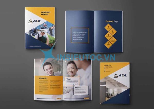 in catalogue ít ở tphcm