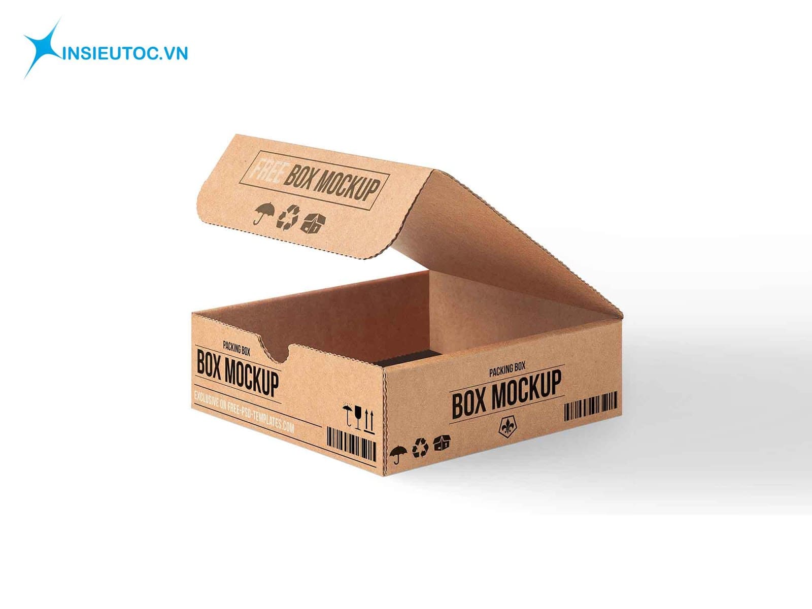 in thùng giấy carton