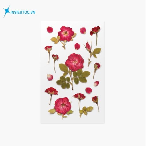 50+ Các mẫu sticker đẹp, hình ảnh sticker trang trí đẹp - In Siêu Tốc VN