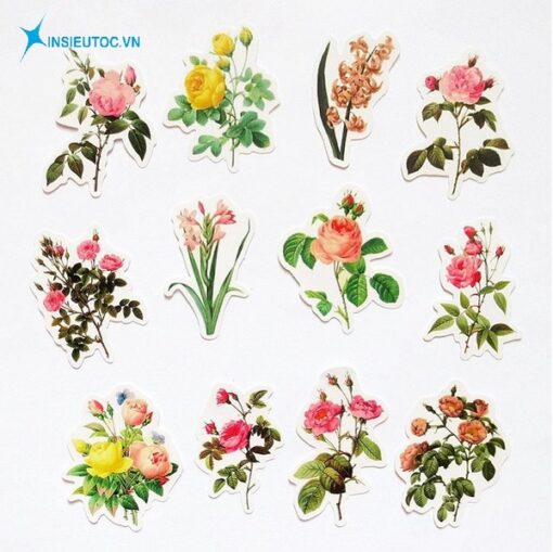 50+ Các mẫu sticker đẹp, hình ảnh sticker trang trí đẹp - In Siêu Tốc VN