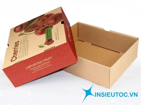 những mẫu hộp giấy kraft bằng carton - In Siêu Tốc