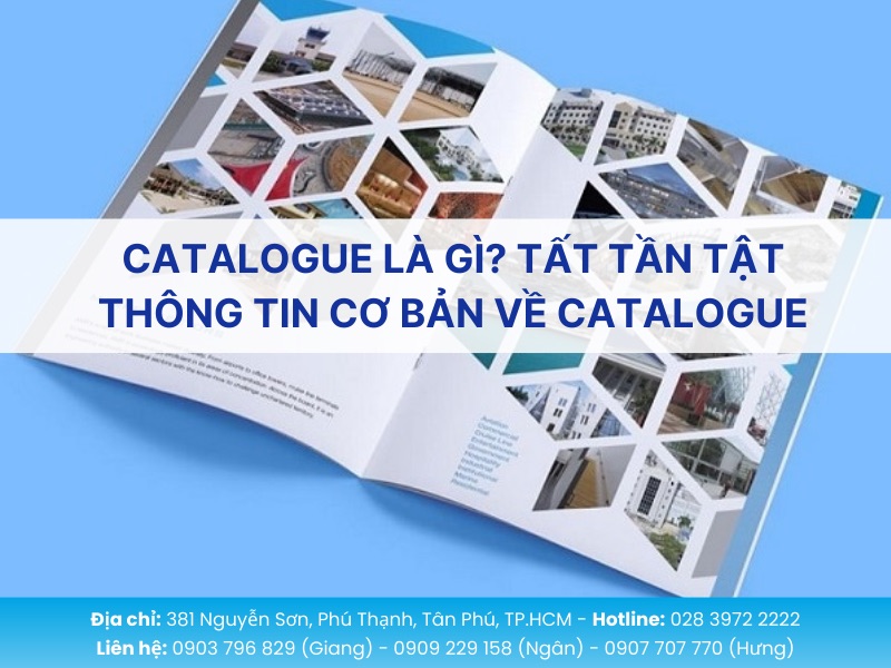 Catalogue là gì? Tất tần tật thông tin cơ bản về Catalogue