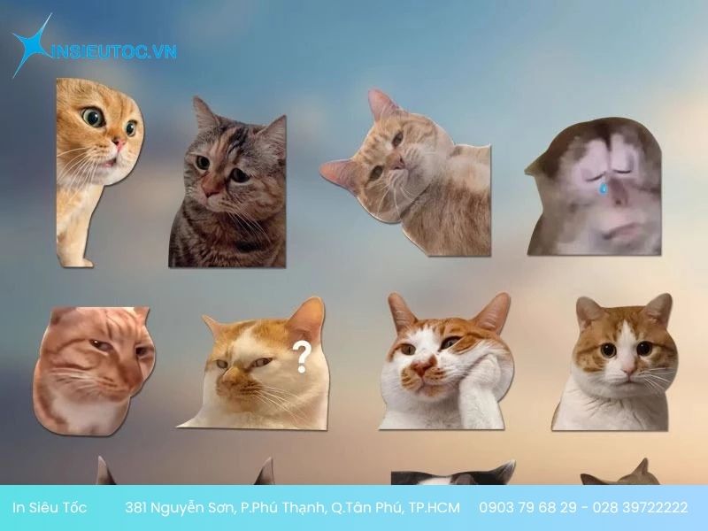 Mẫu sticker mèo con hiền hậu Mẫu sticker mèo con hiền hậu