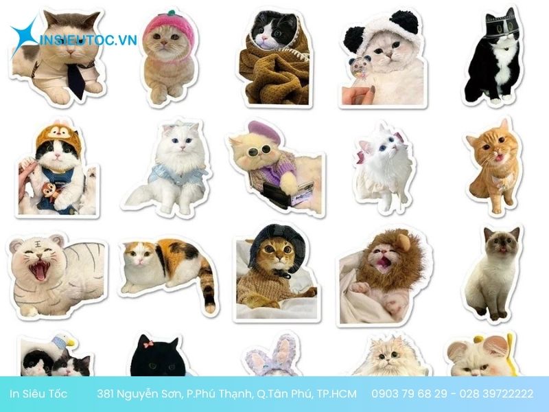 Mẫu sticker meme mèo vui nhộn dễ thương Mẫu sticker meme mèo vui nhộn dễ thương