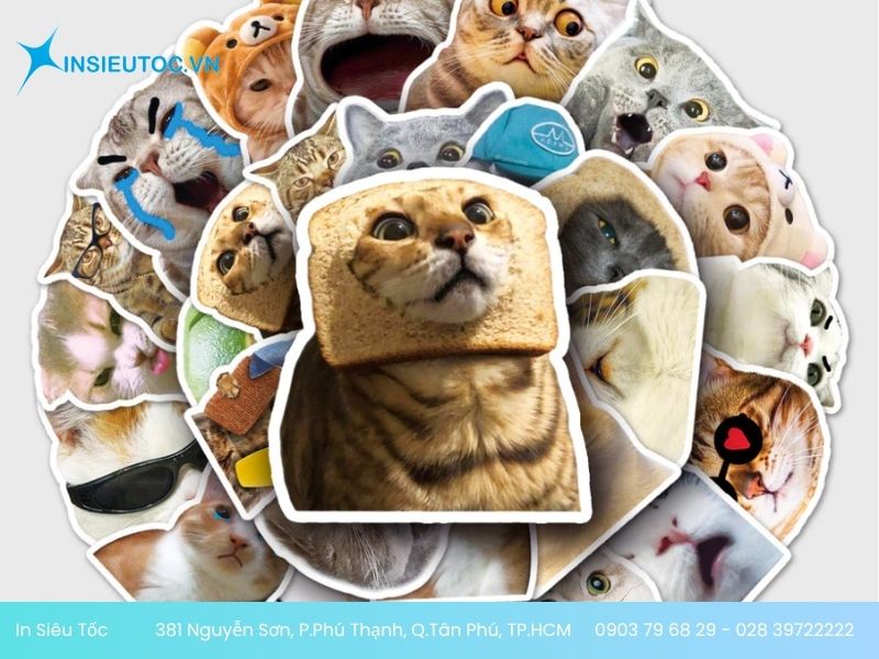 Mẫu sticker mèo đa dạng biểu cảm Mẫu sticker mèo đa dạng biểu cảm
