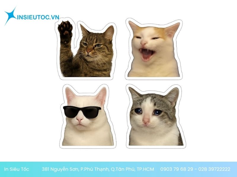 sticker mèo đáng yêu Sticker mèo đa cảm xúc