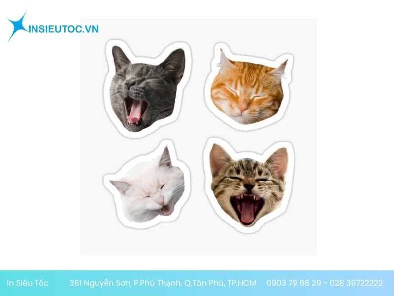 Sticker mèo đen giữ ổ điện Sticker mèo ngáp