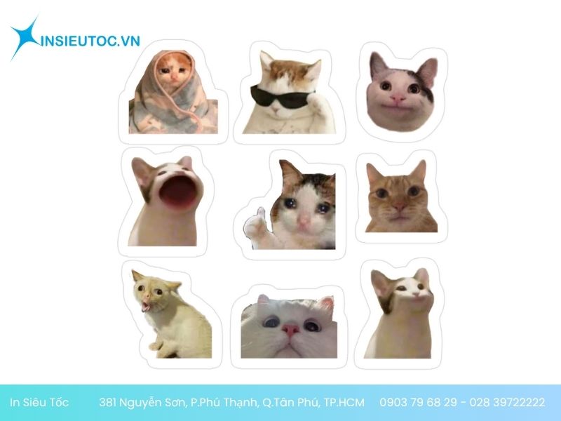 Đa dạng mẫu sticker con mèo Đa dạng mẫu sticker con mèo