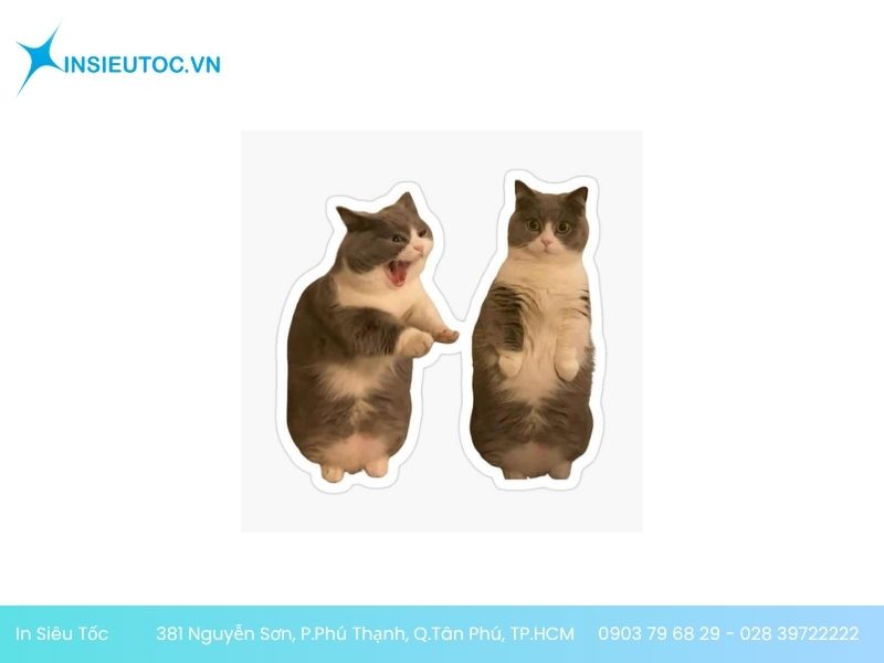 Sticker mèo nhiều hình thái khác nhau Sticker mèo la hét