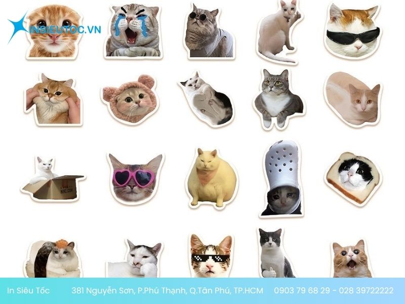 Mẫu sticker con mèo quấn khăn dễ thương Mẫu sticker con mèo hài hước