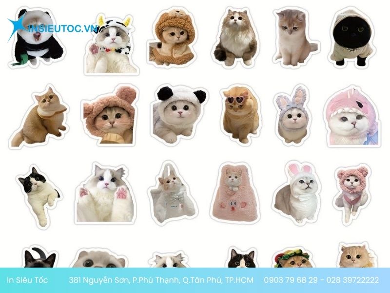 Mẫu sticker mèo đang thịnh hành Mẫu sticker mèo meme