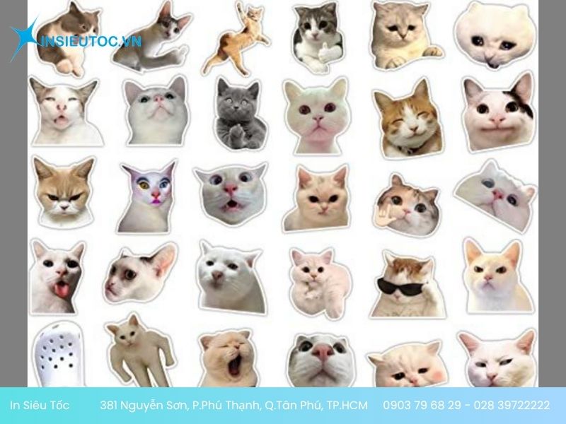 Mẫu sticker hình mèo ú Mẫu sticker meme hài hước
