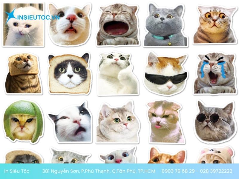 Sticker mèo có nhiều kích thước khác nhau Sticker mèo có nhiều kích thước khác nhau