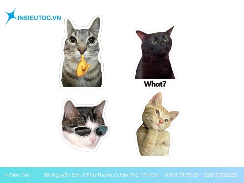 tùy ý lựa chọn màu sắc cho sticker con mèo của mình Tùy ý lựa chọn màu sắc cho sticker con mèo của mình
