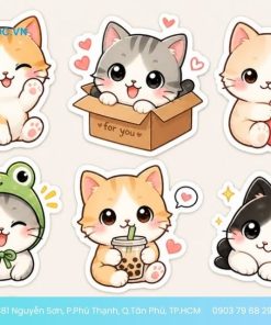 sticker mèo con đáng yêu