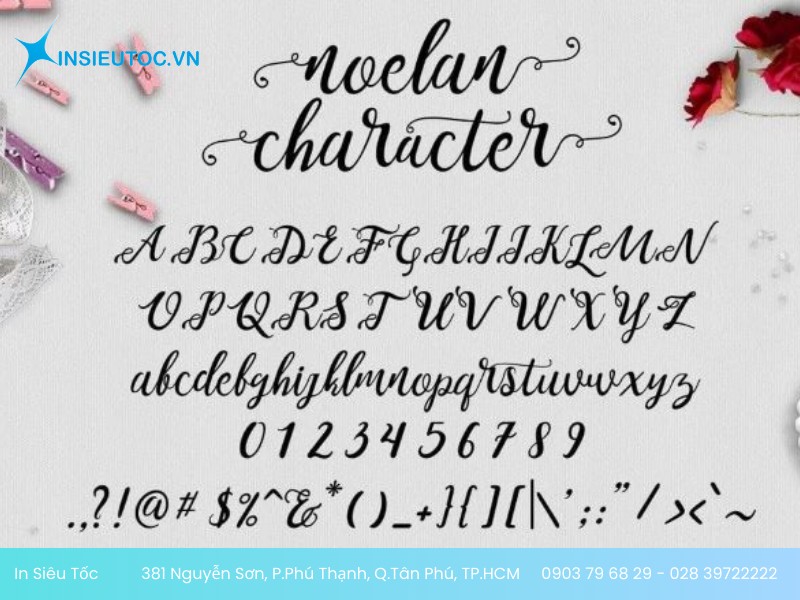 Font Noelan Script