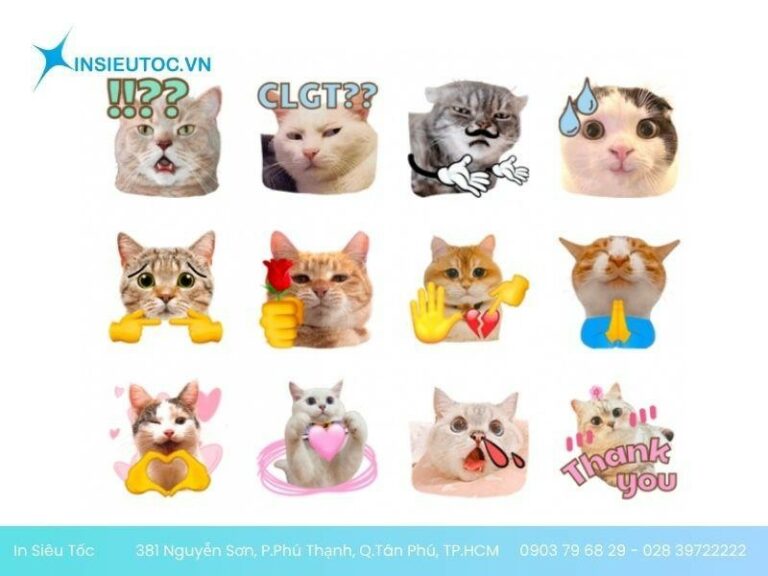 30+ Mẫu sticker con mèo đáng yêu được ưa chuộng nhất hiện nay