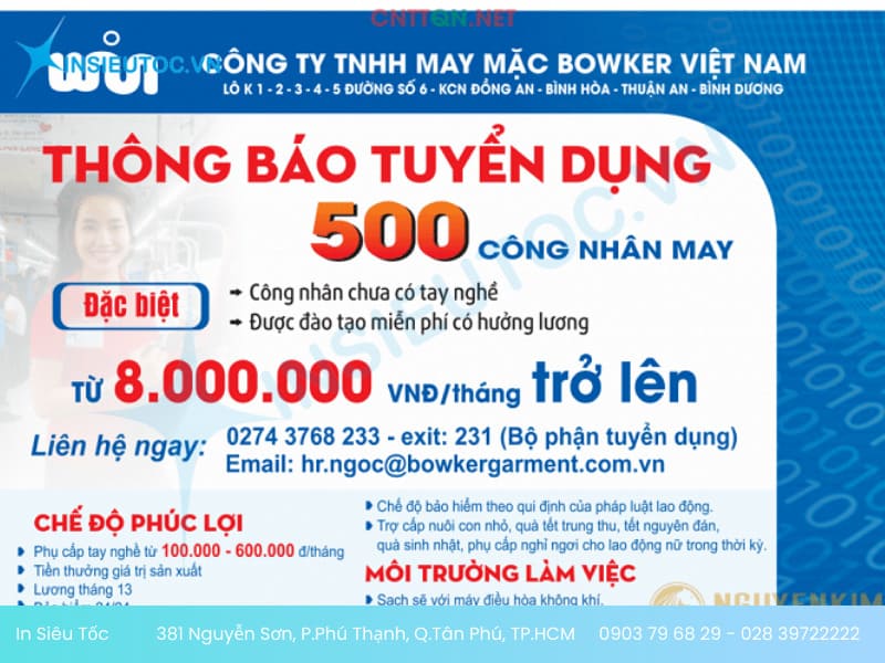 mẫu tờ rơi chuyên nghiệp