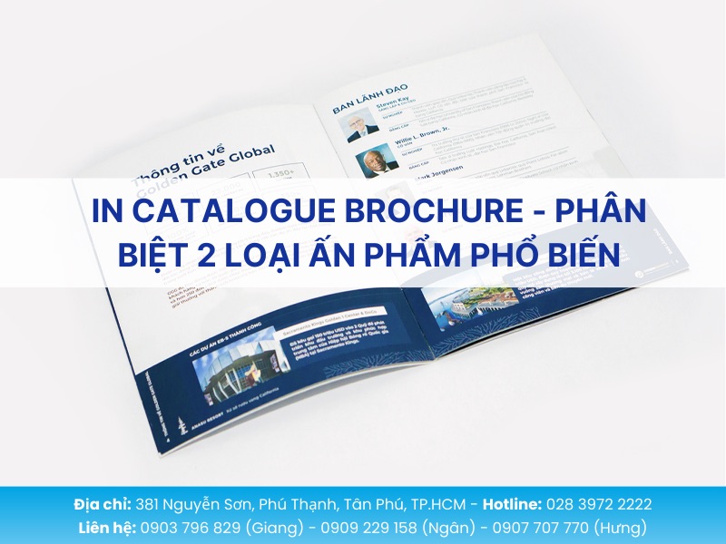 Catalogue và Brochure - Phân biệt 2 loại ấn phẩm phổ biến
