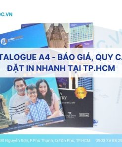 In Catalogue A4 - Báo Giá, Quy Cách & Đặt In Nhanh Tại TP.HCM