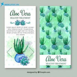 Cả mặt trước và sau mẫu tờ rơi đều dùng hình ảnh nha đam dạng vẽ, vừa mộc mạc, vừa thanh khiết tờ rơi cosmetic aloe vera